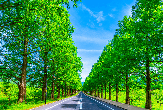 クラブ活動のイメージ画像